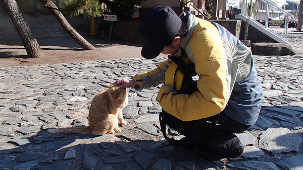 猫の居る公園にて